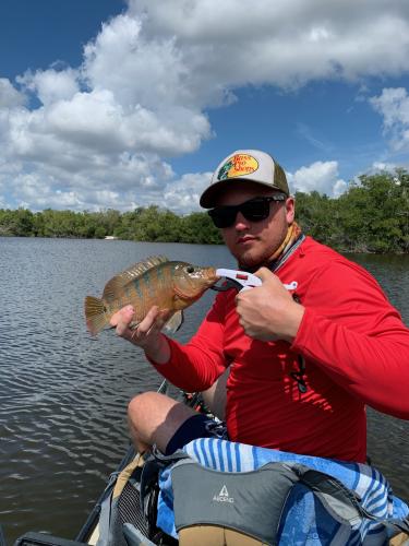 Angler caught a Mayan Cichlid fish