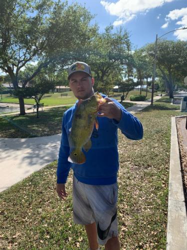 Angler holding a nice Peacock Bass
