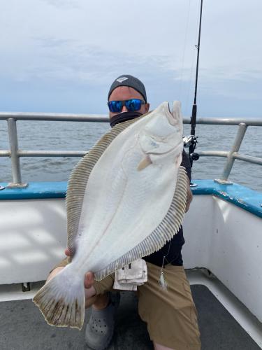 Fluke fish