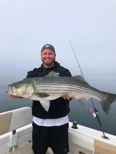 Angler holding big stripe bass