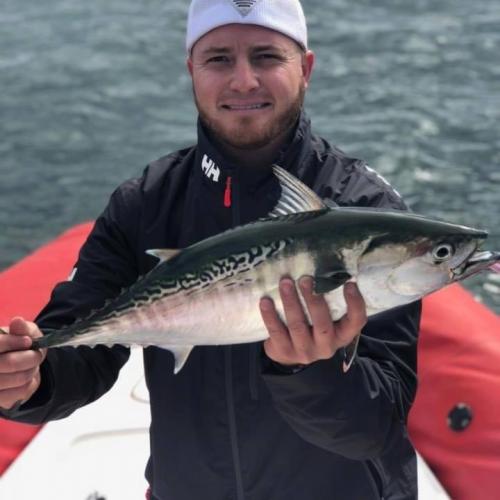 Angler with Mackerel