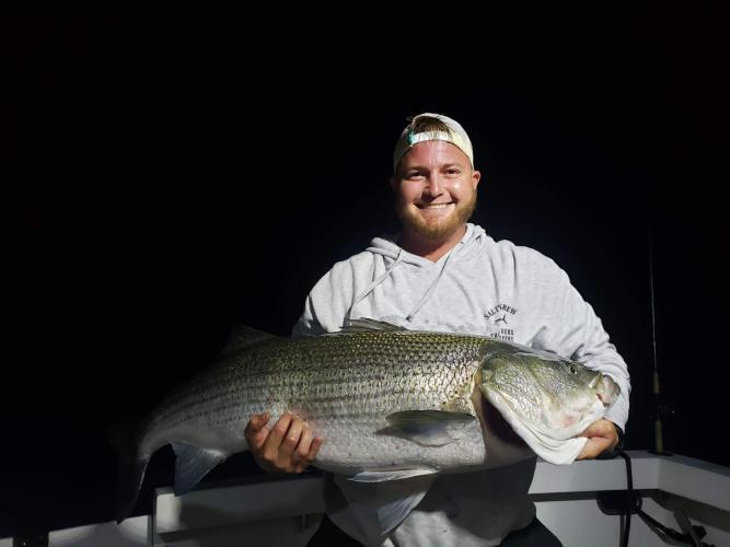 Night time Stripper Bass