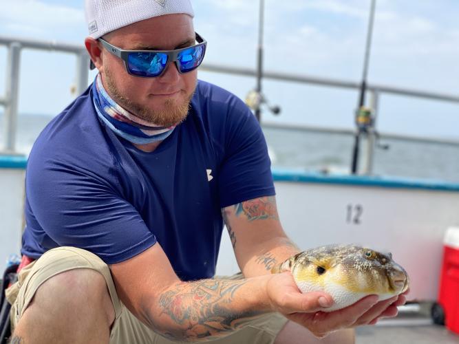 Angler holding pufferfish