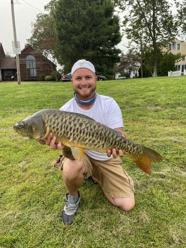 angler holding carp