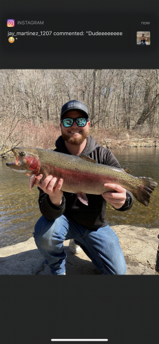 Angler holding cutthroat trout