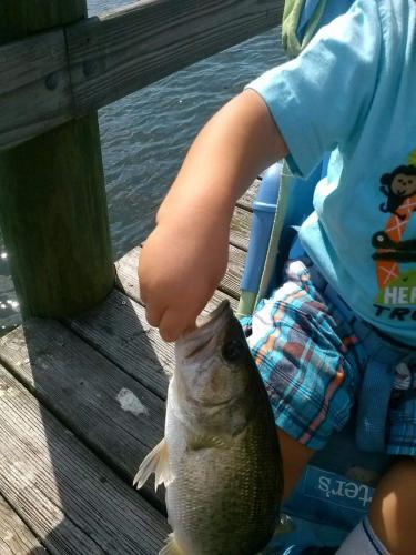 Small boy holding bass by mouth