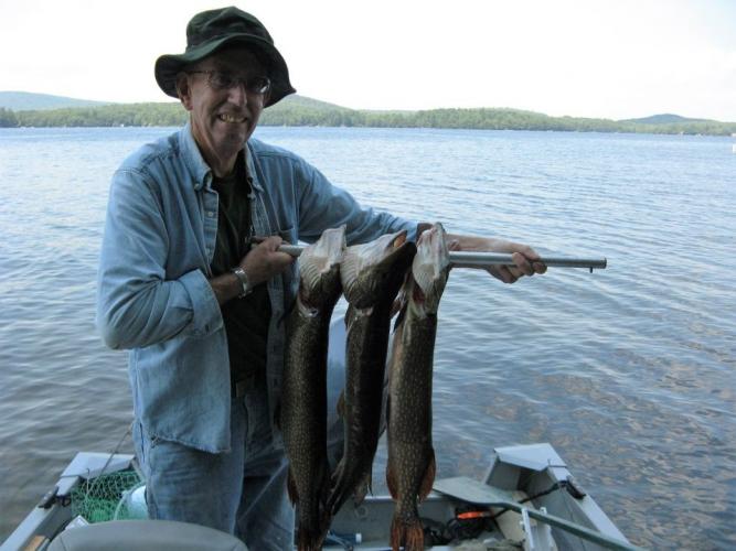 6 lb, 7 lb and 8 lb Pike Braggin' Board Photo: 6 lb, 7 lb and 8 lb Pike