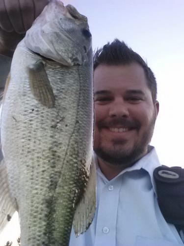 Fishin' bass on lunch break Braggin' Board Photo: Fishin' bass on lunch break