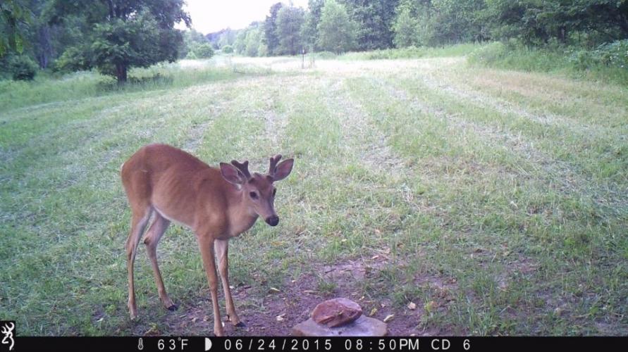 Braggin' Board Photo: I'm watching you
