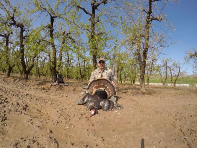 Braggin' Board Photo: My second Turkey