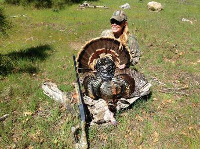 Braggin' Board Photo: Nice Turkey