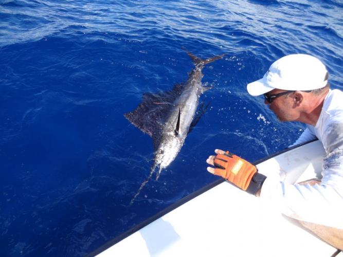 Braggin' Board Photo: Sailfish