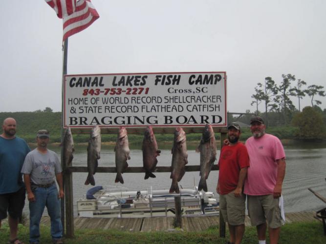 Braggin' Board Photo: More Catfish Bragging