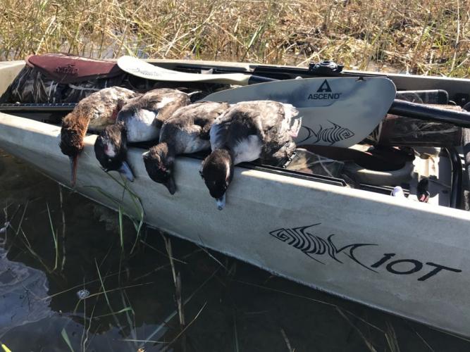 Braggin' Board Photo: Yak Attack