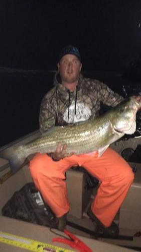 Night fishing for stripe bass Braggin' Board Photo: Night fishing for stripe bass