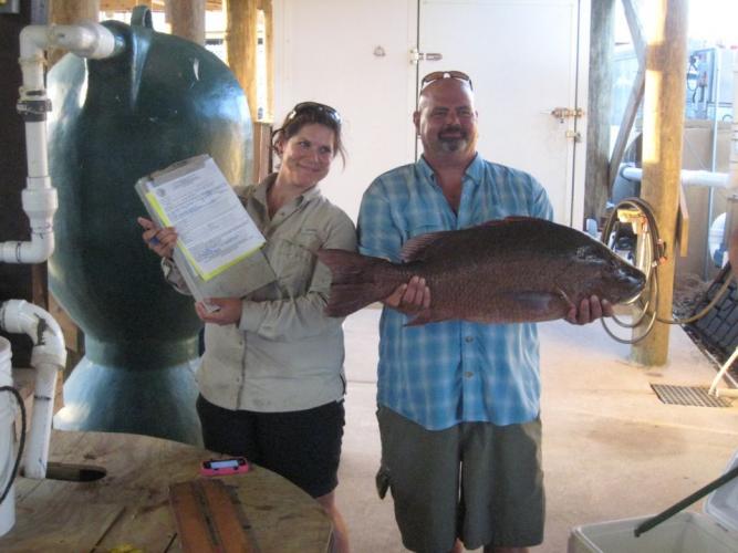 Braggin' Board Photo: Nice Snapper