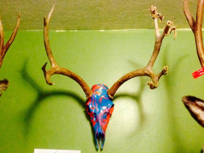 Braggin' Board Photo: Nice Mount