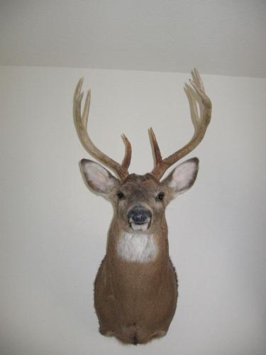 Braggin' Board Photo: IMG 1238