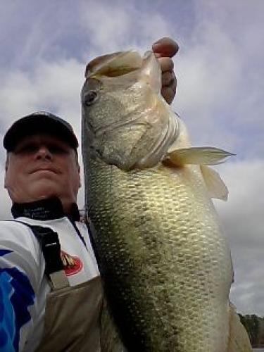 10 lb+ Bass Braggin' Board Photo: 10 lb+ Bass