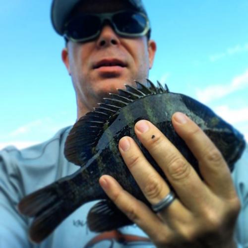 Braggin' Board Photo: Bluegill