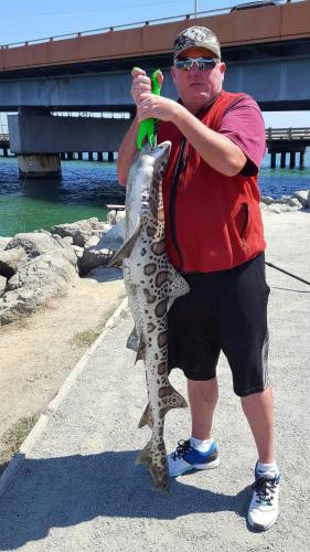 Braggin' Board Photo: Shark fishing