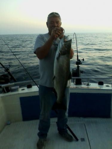 Braggin' Board Photo: King Salmon