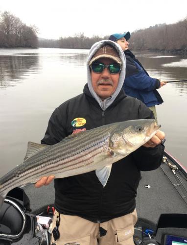 Striper Bass Braggin' Board Photo: Striper Bass