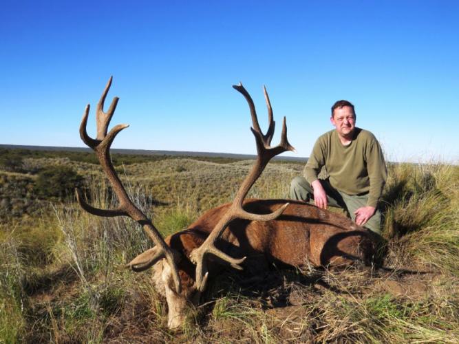 Gold medal deer stag- Argentina Braggin' Board Photo: Gold medal deer stag- Argentina