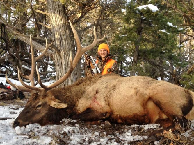 Braggin' Board Photo: Elk photo 132  1