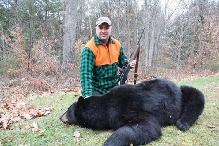 Black Bear in New Hampshire Braggin' Board Photo: Black Bear in New Hampshire
