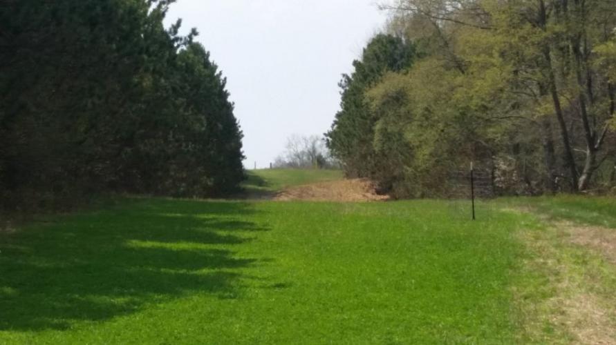 Braggin' Board Photo: Food Plot