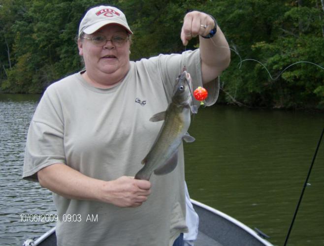 Braggin' Board Photo: My Cat