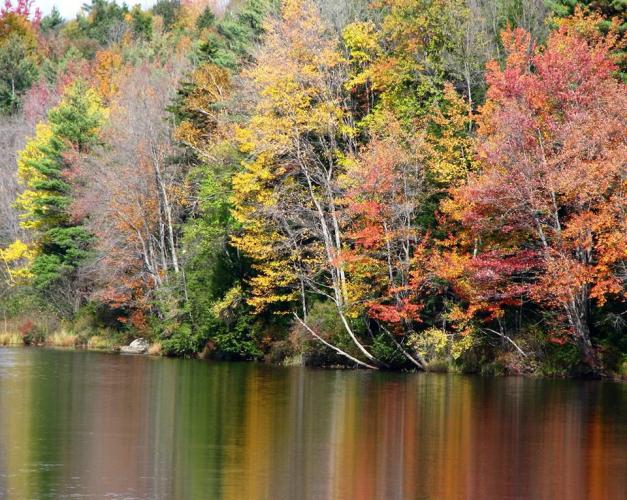 Braggin' Board Photo: Autumn Prism