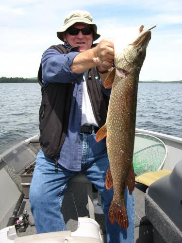 36 inch 10 lb Pike Braggin' Board Photo: 36 inch 10 lb Pike