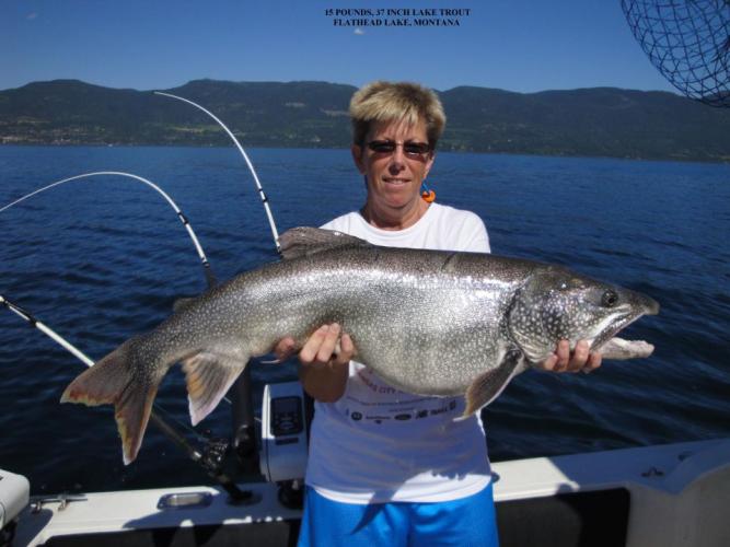 Braggin' Board Photo: Big Lake Trout
