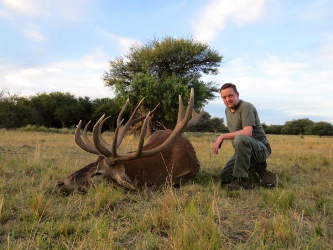 Red stag 12 kgs Braggin' Board Photo: Red stag 12 kgs