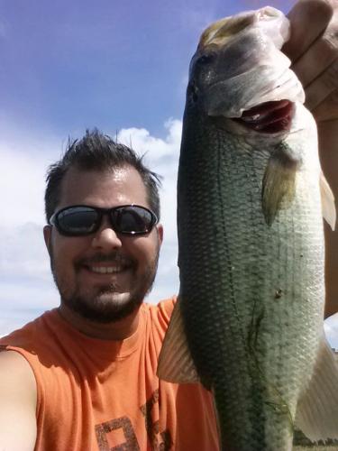 Largemouth Bass Braggin' Board Photo: Largemouth Bass