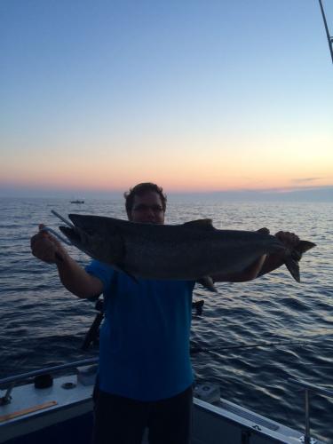 Braggin' Board Photo: King Salmon