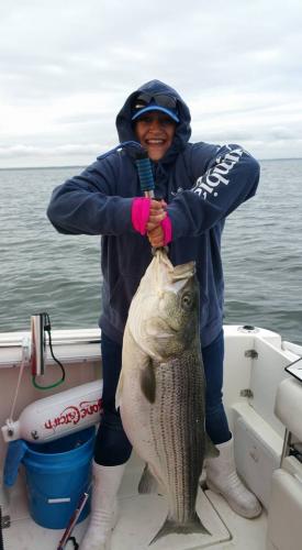 Braggin' Board Photo: 40 + LB Striped Bass