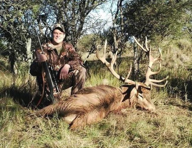 free range red deer stag Braggin' Board Photo: free range red deer stag