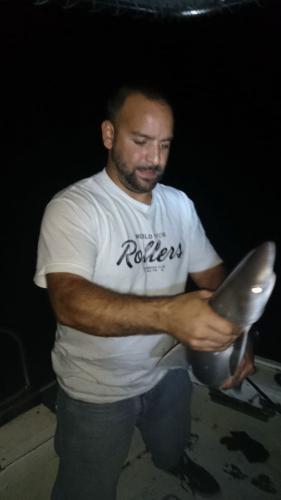 Braggin' Board Photo: Shark