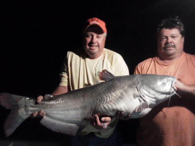 Braggin' Board Photo: 52 lb blue Cat