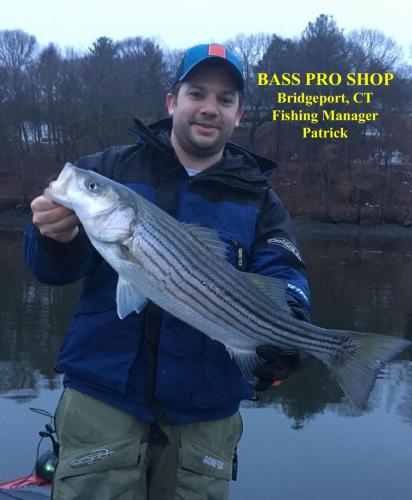 Striper Bass Fishing Braggin' Board Photo: Striper Bass Fishing