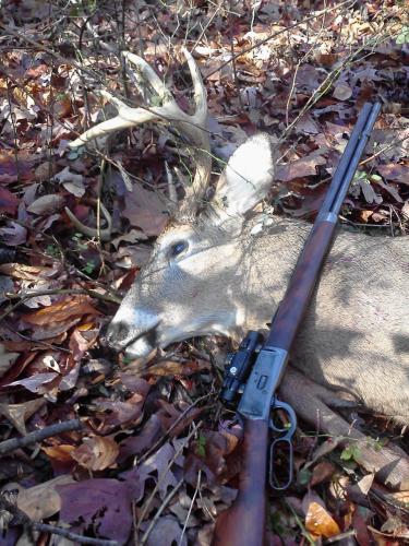 Braggin' Board Photo: Randalls Nice Buck