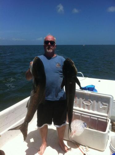 Braggin' Board Photo: Cobia