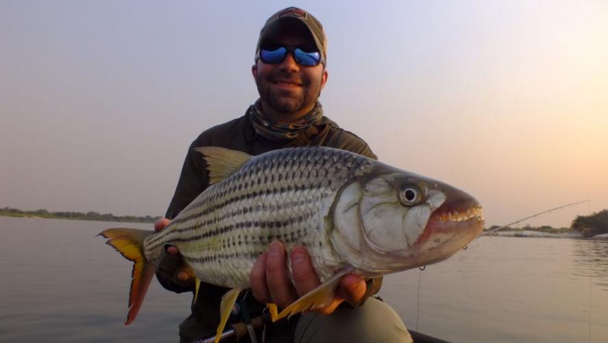Braggin' Board Photo: 7 lbs Zambezi Tigerfish on a 7wt.