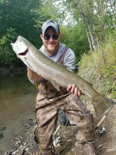 Michigan Steelhead Braggin' Board Photo: Michigan Steelhead