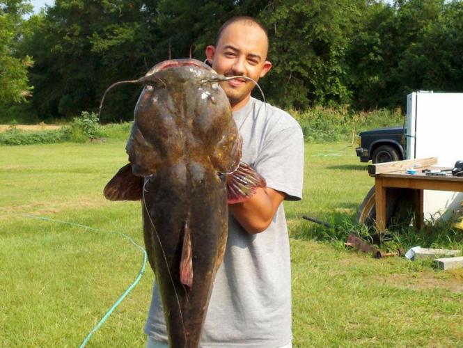 Braggin' Board Photo: Big Catfish