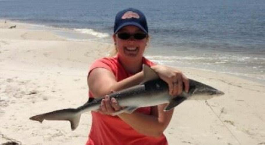 Braggin' Board Photo: Shark