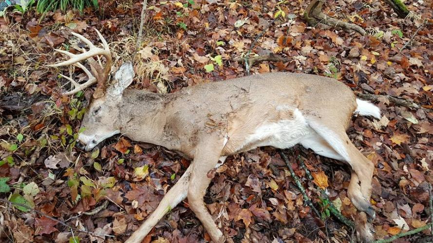 Braggin' Board Photo: Hunting Success